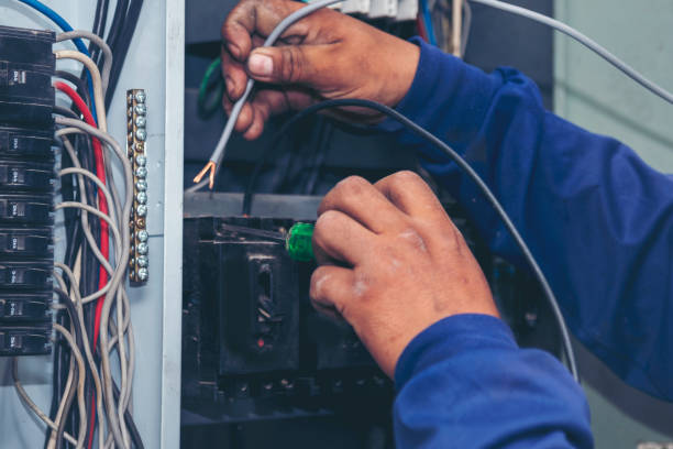 Best Local Electrician Companies  in Naranja, FL